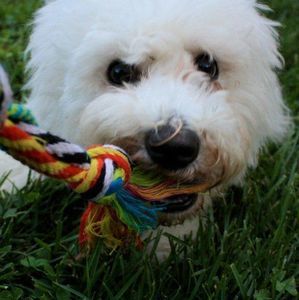 Meet your Posher, Lynn